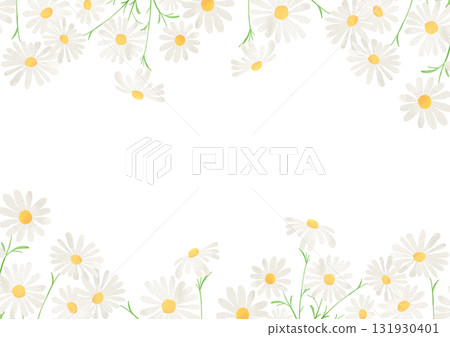 Watercolor illustration of chamomile Watercolor illustration of chamomile 131930401