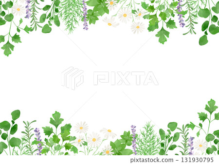 Watercolor herb illustration 131930795