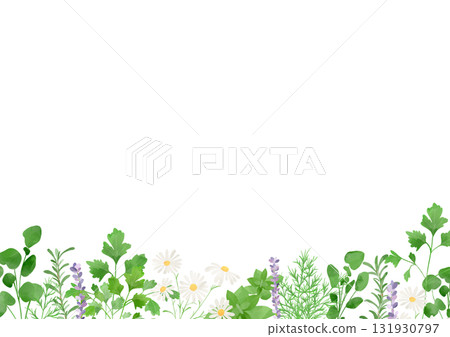 水彩草本插圖 131930797