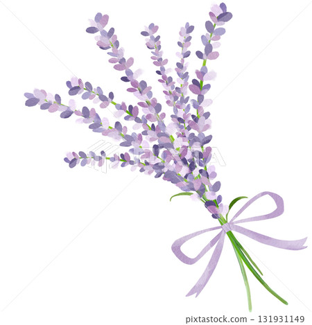 薰衣草花束的水彩插圖 131931149