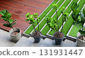 artificial green grass on staircase, exterior design for home 131931447