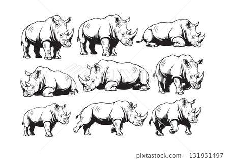 Vector illustrations of rhinos in various poses standing, running, resting, emphasizing their strong, thick build and horns. wild animals. 131931497