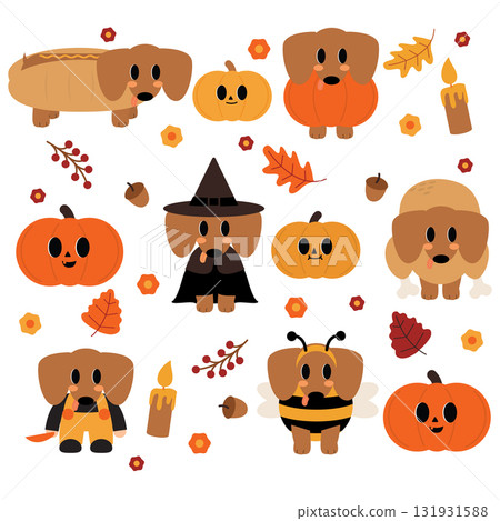 Cute dachshund halloween 131931588