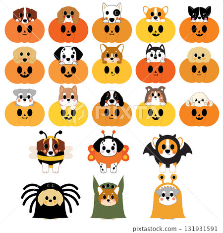 Dog in pumpkin halloween Dog in pumpkin halloween 131931591