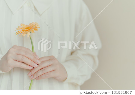 一位女士雙手捧著一朵橙色非洲菊 131931967