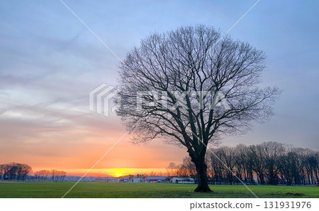 A Peaceful Sunset Over a Leafless Tree Set in a Beautiful and Tranquil Landscape Scene A Peaceful Sunset Over a Leafless Tree Set in a Beautiful and Tranquil Landscape Scene 131931976