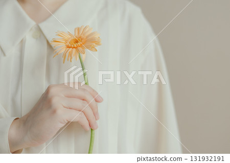 一位女士的手拿著一朵非洲菊 131932191