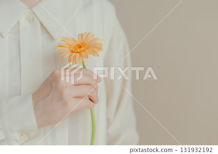 一位女士的手拿著一朵非洲菊 131932192