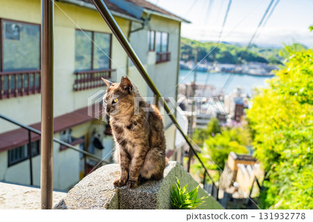 <廣島縣>丘陵小鎮尾道 131932778