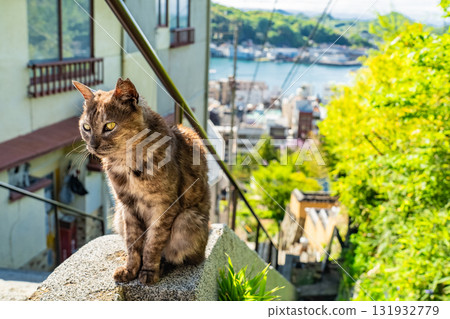 <廣島縣>丘陵小鎮尾道 131932779