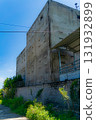 Special agricultural buildings for swallows. 131932899