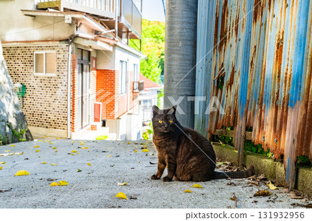 <Hiroshima Prefecture> Onomichi, a hilly town 131932956