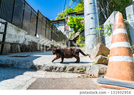 <廣島縣>丘陵小鎮尾道 131932958