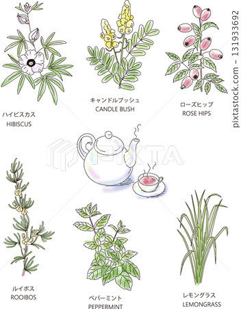 Hand-drawn illustration of six kinds of herbs and tea set Hand-drawn illustration of six kinds of herbs and tea set 131933692