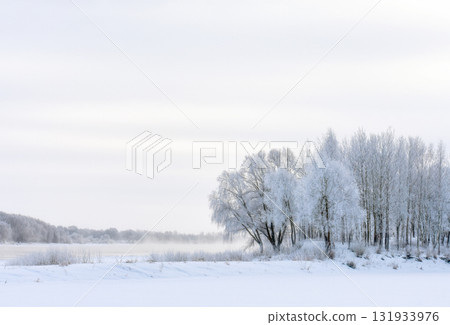 Winter landscape on the coast of the Volkhov River, the main river in our city 131933976