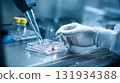 A scientist uses a pipette in a sterile laboratory, biotechnology research and cell culture experiments 131934388