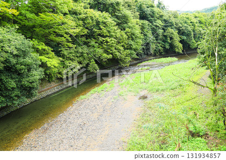 Natural scenery: lush forest and flowing river 131934857