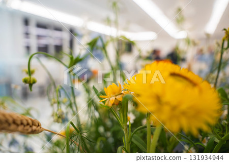 Yellow flowers, possibly marigolds, in sharp focus with a blurred indoor background featuring bright, modern lighting and a bustling atmosphere. Yellow flowers, possibly marigolds, in sharp focus with a blurred indoor background featuring bright, modern lighting and a bustling atmosphere. 131934944