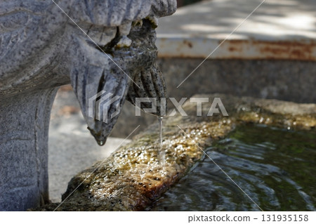 Water dripping from the dragon's beard at the Chozuya (purification fountain) 131935158