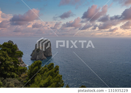 The island of Capri in Italy features the Faraglioni rocks rising from the sea, lush greenery in the foreground, and a pink and purple sky above. 131935229
