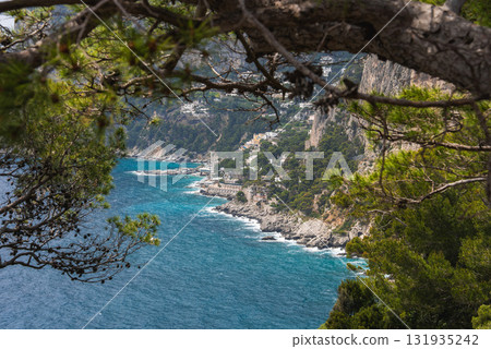 Turquoise Mediterranean waters meet rugged cliffs and white buildings on Capri, Italy, with tree branches and lush greenery in the foreground. 131935242