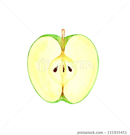 Green apple fruit cross section watercolor illustration 131935451