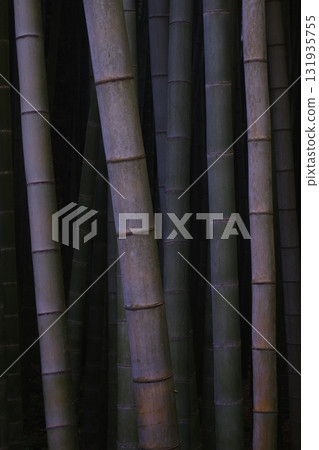 有竹子的風景 有竹子的風景 131935755