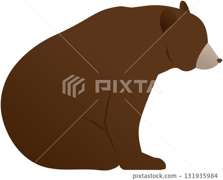 坐著的熊的側視圖 131935984