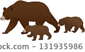 Illustration of a walking bear and cub seen from the side 131935986