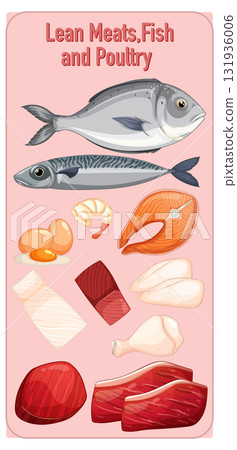 Assorted Lean Meats, Fish, and Poultry Vector Illustration 131936006