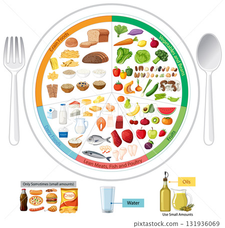 Balanced Plate Vector Guide for Healthy Food Choices 131936069