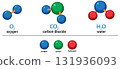 Vector Illustration of Oxygen, Carbon Dioxide, and Water Molecules 131936093