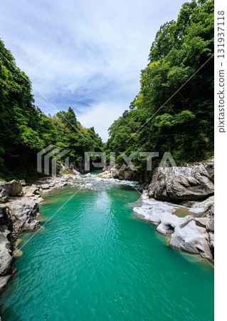 [Ishikawa Prefecture] Hakusan Tedorigawa Geopark "Watagataki Falls" [Vertical photo] 131937118