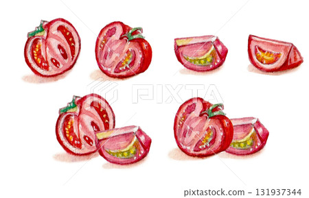 tomato painted in watercolor tomato painted in watercolor 131937344