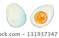 Watercolor illustration of a boiled egg 131937347