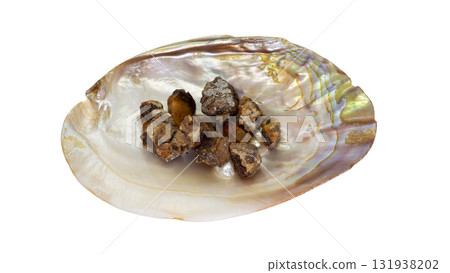 Amber gemstones placed in shells - harmony created by nature Amber gemstones placed in shells - harmony created by nature 131938202