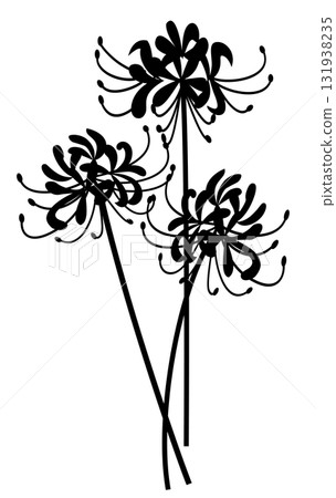 Simple Higan spider lilies 131938235