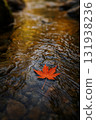 Autumn leaves floating on the surface of the water 131938236
