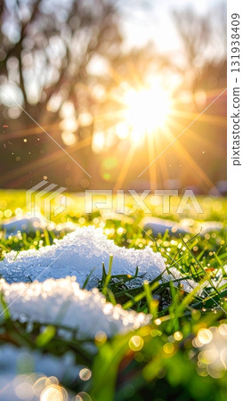 Melting Snow on Grass Field Melting Snow on Grass Field 131938409