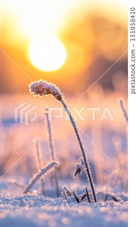 Snow-Covered Grass on Snowy Ground 131938410