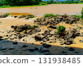 The river after the rains. 131938485