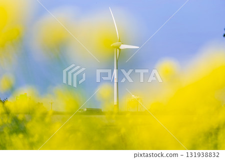 Golden sea of flowers under the wind turbines on the seaside Golden sea of flowers under the wind turbines on the seaside 131938832