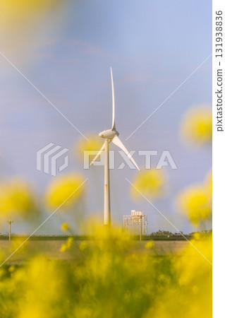 海邊風力發電機下的金黃色花海 海邊風力發電機下的金黃色花海 131938836