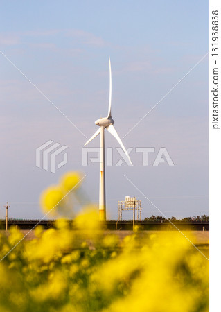 海邊風力發電機下的金黃色花海 131938838