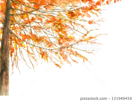 一棵大樹,秋天的葉子用水彩畫(手繪),白色背景,剪下,帶有複製空間 一棵大樹,秋天的葉子用水彩畫(手繪),白色背景,剪下,帶有複製空間 131940458