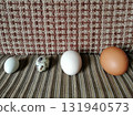 Arrangement of eggs as symbol of growth, abundance, prosperity, success, togetherness etc 131940573