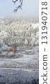 Brick church in a white frosted forest during winter hiking in Alsace, mobile photo. Scenic winter architecture and nature setting ideal for illustrating heritage, travel, and seasonal landscapes. 131940718