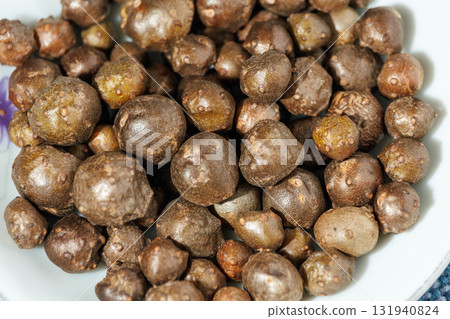 Bulbs growing on harvested wild yam vines 131940824