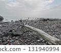 The winter sea seen beyond the driftwood 131940994