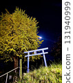 Torii gate, ginkgo tree and moonlight at night 131940999